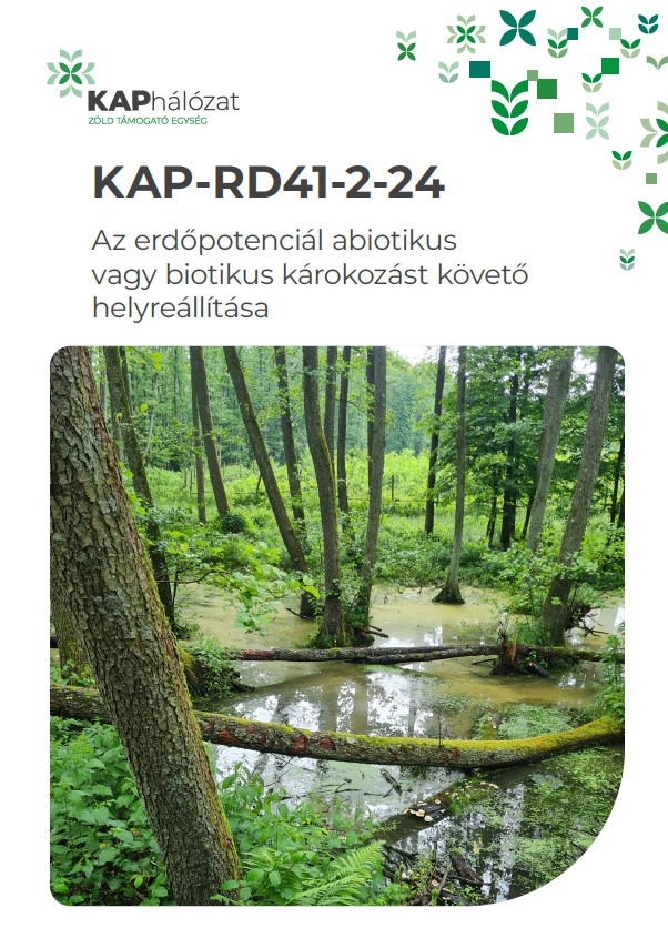 KAP-RD41-2-24 Az erdőpotenciál abiotikus vagy biotikus károkozást követő helyreállítása